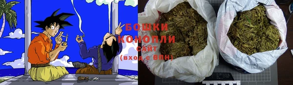 ПСИЛОЦИБИНОВЫЕ ГРИБЫ Баксан