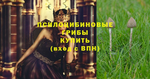 ПСИЛОЦИБИНОВЫЕ ГРИБЫ Баксан
