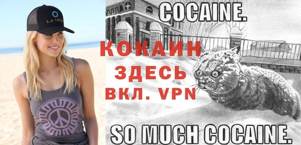 тгк Аркадак