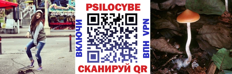Псилоцибиновые грибы Magic Shrooms  купить наркоту  Гурьевск 